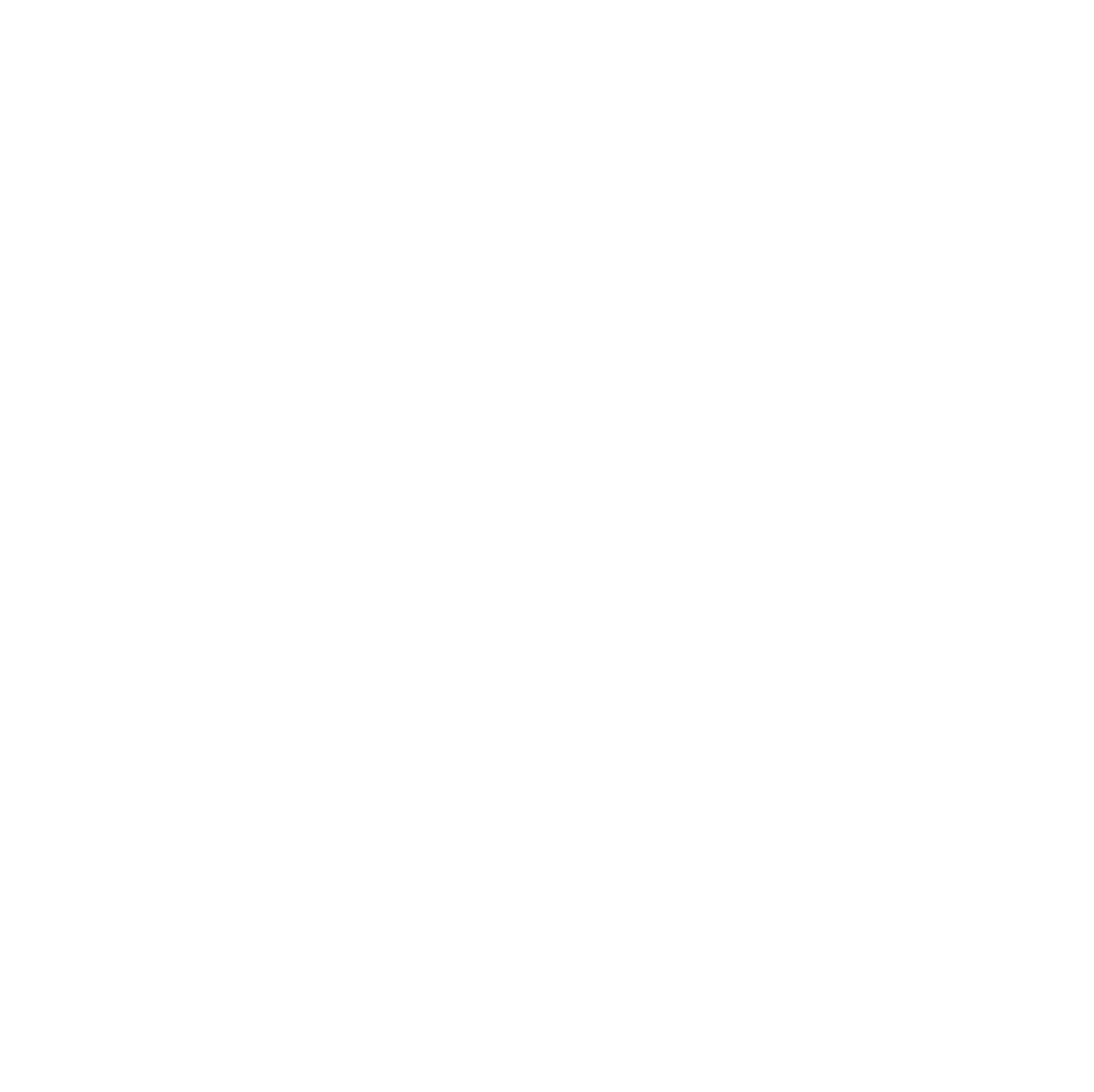 Logo DK Drones